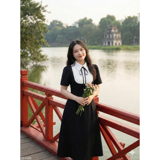Đầm cổ sơ mi giả yếm, Đầm công sở thiết kế dáng chữ A
