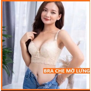 Áo bra corset 5 móc cài -One