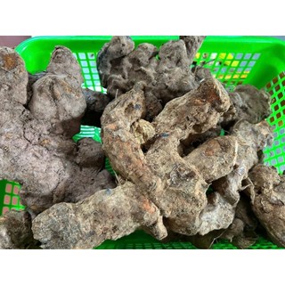 Khúc Khắc khô Bắc Giang loại đẹp (sâm thổ phục linh)