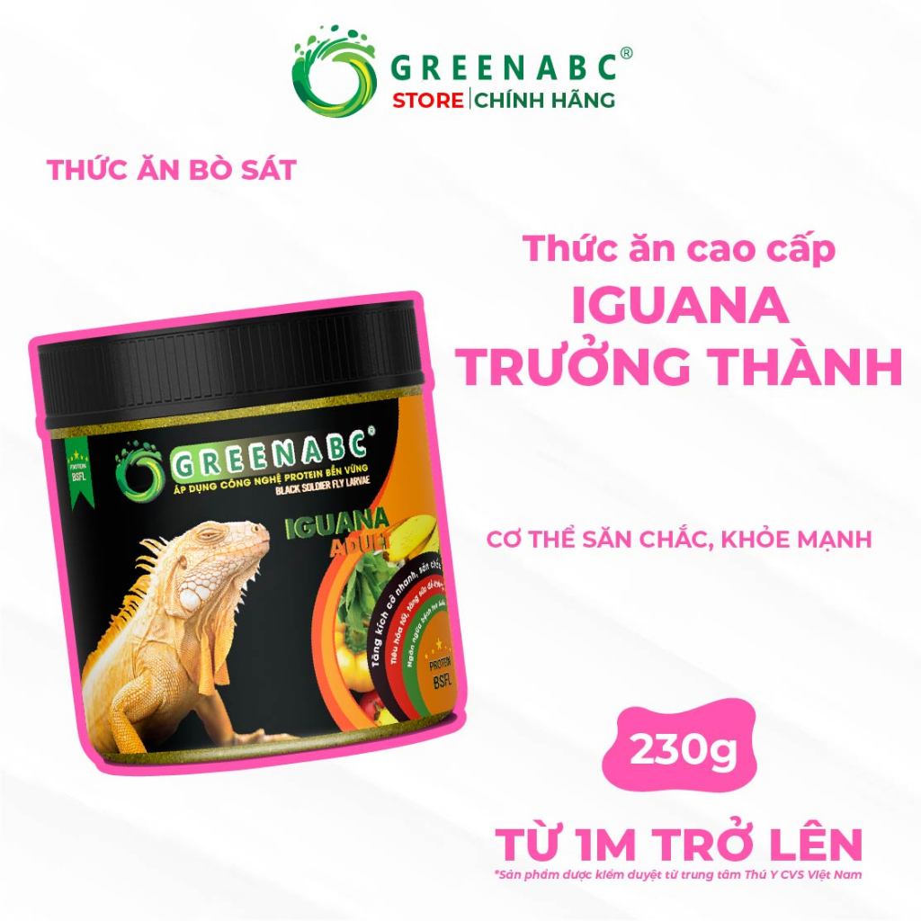 Thức ăn Iguana Trưởng Thành GREENABC. Dành cho Iguana từ 1m trở lên – Gai bung, gù cao, dáng đẹp, lê