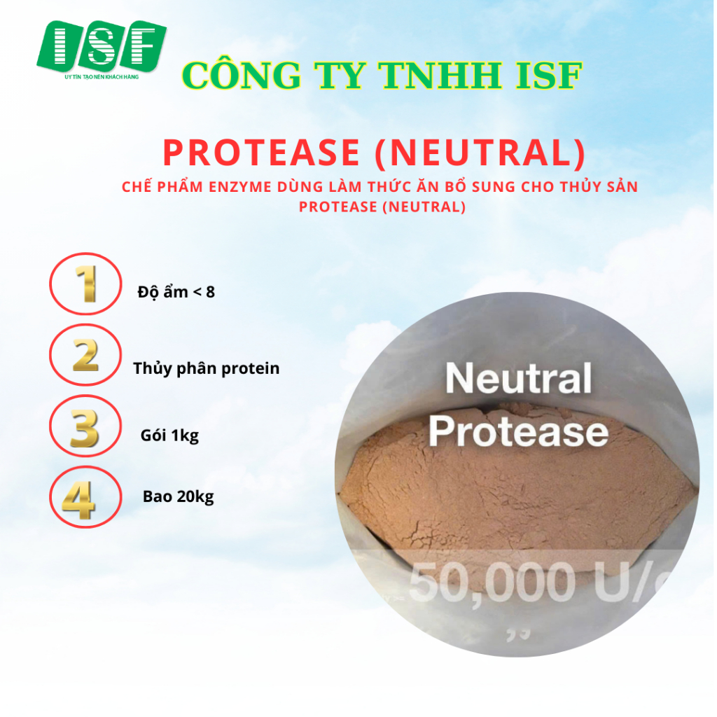 Enzyme Neutral Protease bao 20kg