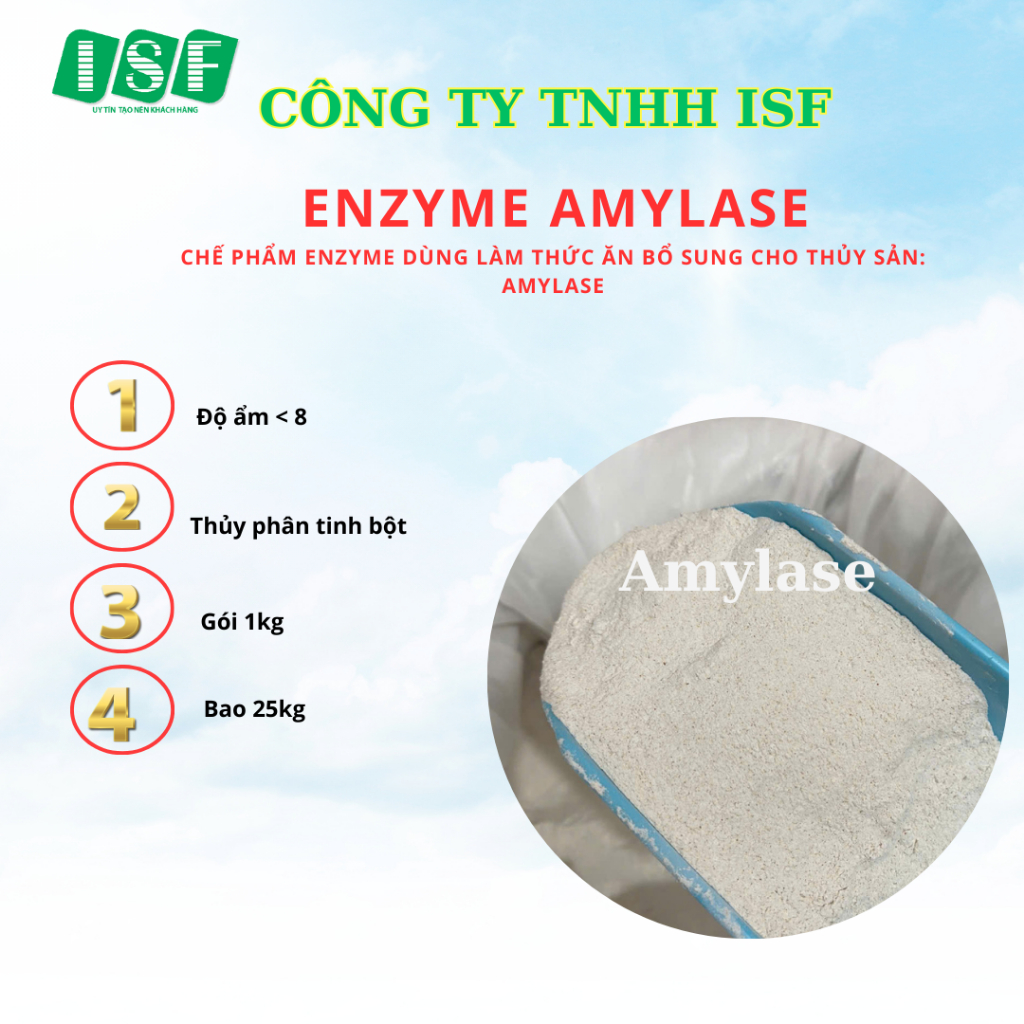 Enzyme  Alpha Amylase Bao 25kg