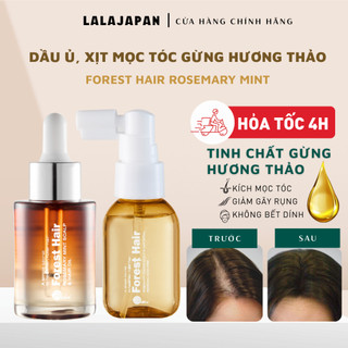   HỎA TỐC  Dầu Ủ Tóc Gừng Hương Thảo FOREST HAIR ROSEMARY MINT HAIR OIL Giảm Rụng Kích Mọc Tóc 