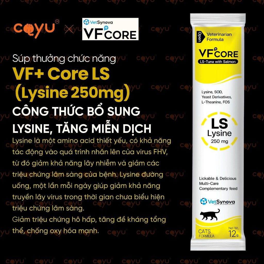 Vetsynova VF+ Core - Súp Thưởng Chức Năng - LS - Bổ Sung Lysine & Tăng Cường Hệ Miễn Dịch - Coyu