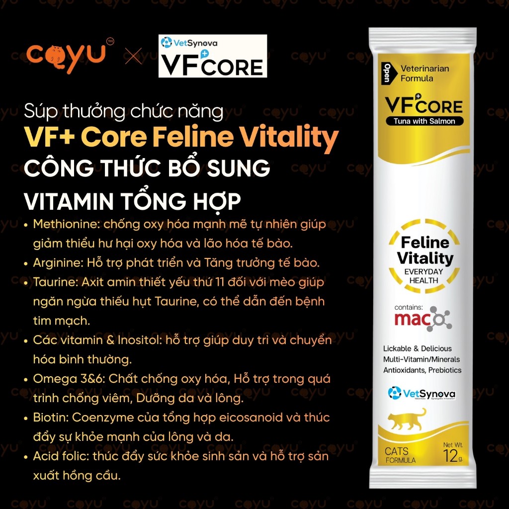 Vetsynova VF+ Core - Súp Thưởng Chức Năng - Feline Vitality - Bổ Sung Vitamin Tổng Hợp - Coyu
