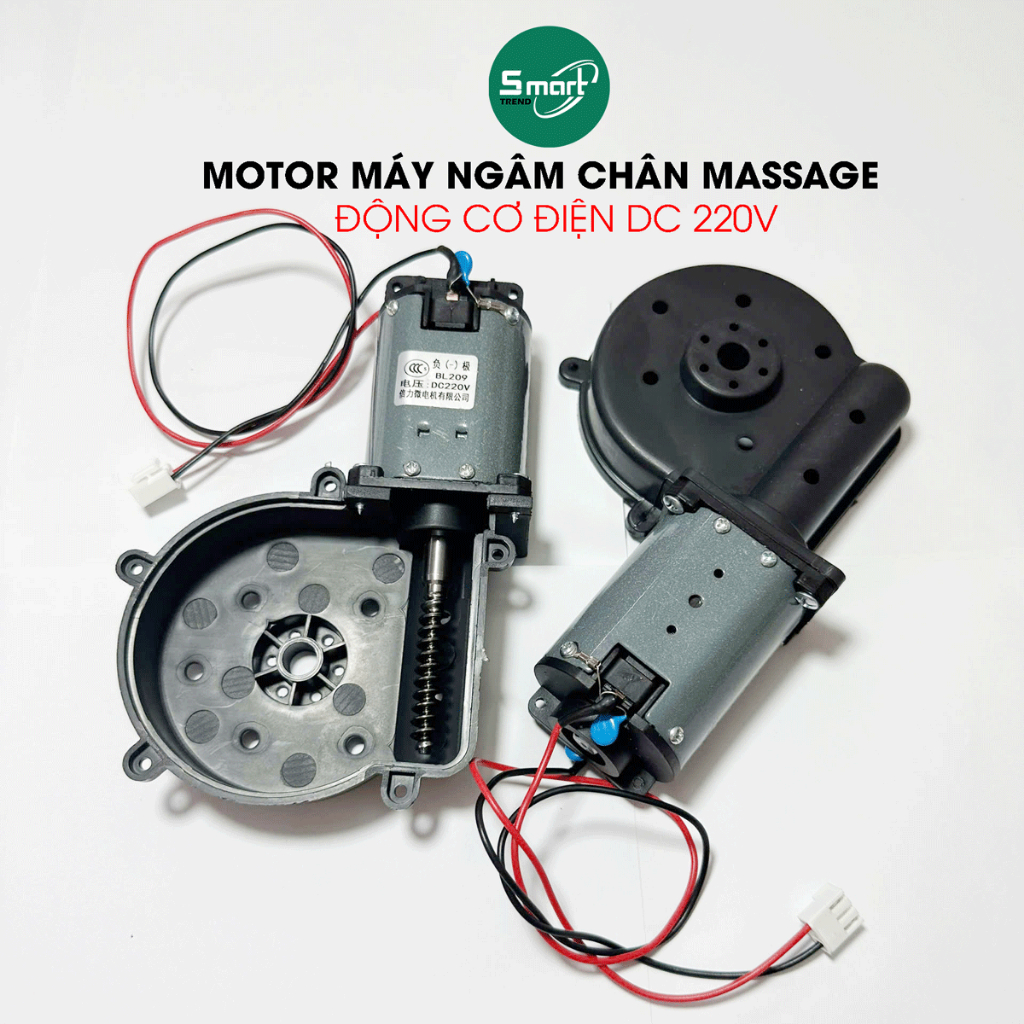 Motor DC 220V Cho Máy Ngâm Chân Massage – Linh Kiện Thay Thế Bền Bỉ, Hoạt Động Ổn Định