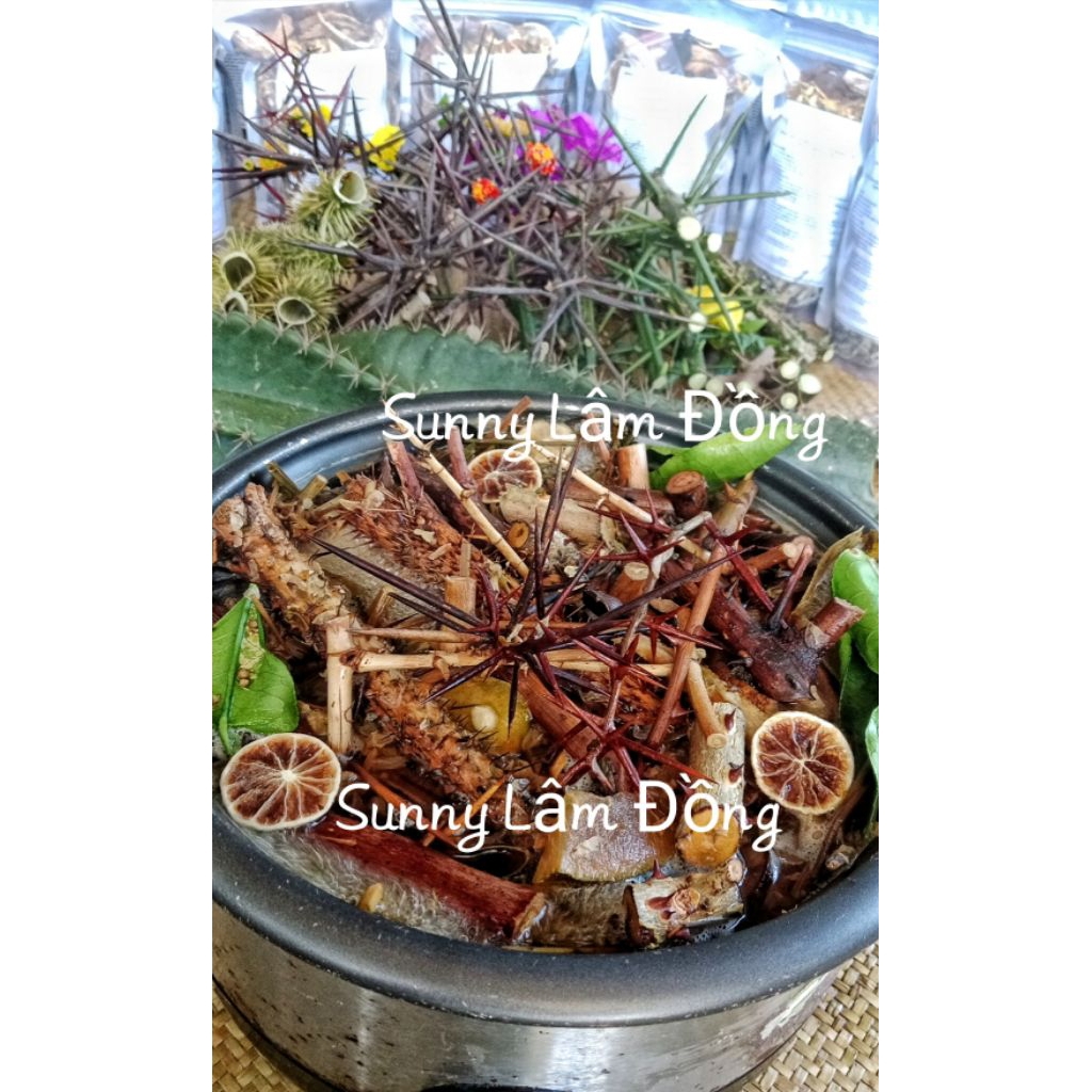 Mua 5 tặng 1 túi Thảo mộc 12 loại gai,  18 loại gai, 21 loại gai, 9 loại gai, 7 loại gai trừ tà gai 