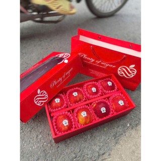 [HOẢ TỐC] Khay táo hộp quà envy Mỹ trái biếu tặng siêu đẹp giòn ngọt