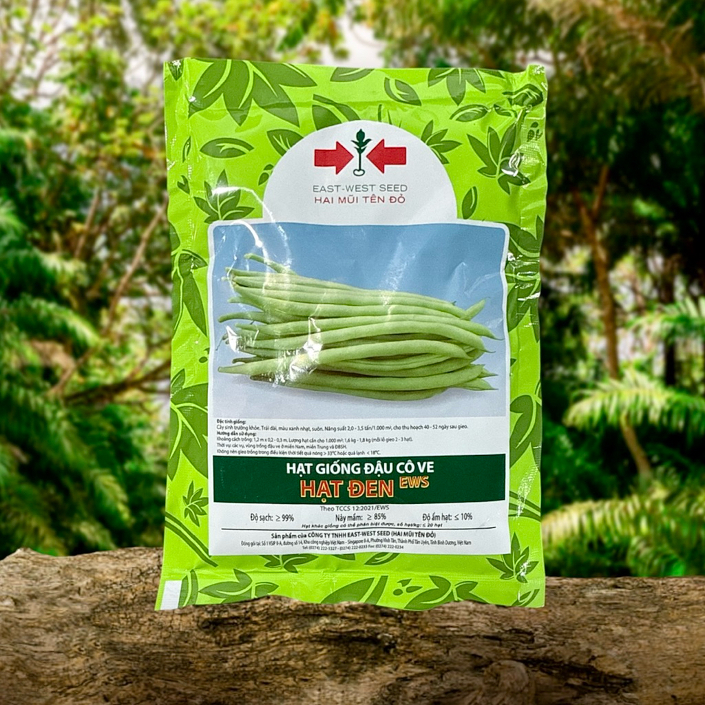 ĐẬU COVE 2MT- 100GRAM