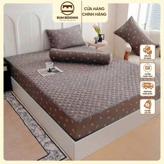  Bộ Ga Gối 3 món Cotton Bamboo trần bông mềm mại nhiều màu Set chăn ga cotton 4 mùa - Bum Bedding 