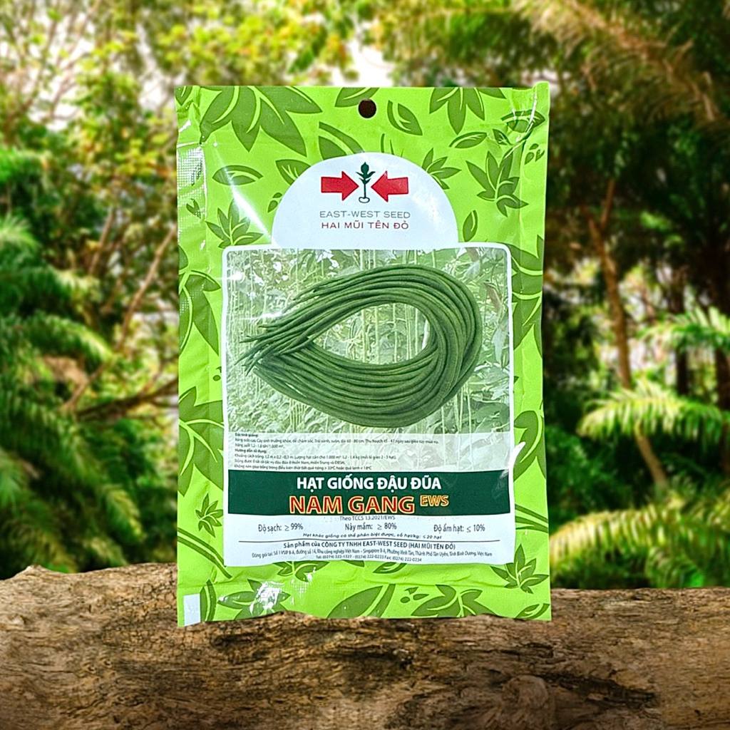 ĐẬU ĐŨA NAM GANG 2MT- 100GRAM