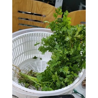 💥Rổ Quay Rau Ly Tâm Duy Tân Cỡ Lớn No.807 - Bộ Dụng Cụ Vắt Khô Rau Củ Quả Nhựa PP Cao Cấp Tiện Lợi💥