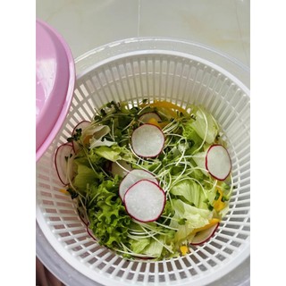 💥Rổ Quay Rau Ly Tâm Duy Tân Cỡ Lớn No.807 - Bộ Dụng Cụ Vắt Khô Rau Củ Quả Nhựa PP Cao Cấp Tiện Lợi💥