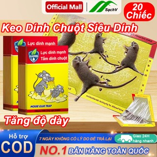  Keo Dính Chuột Siêu Dính  có mồi  Miếng Keo Bẫy Chuột Diệt Chuột Keo Bẫy Chuột Ruồi Và Côn Trùng Miếng keo dán chuột 