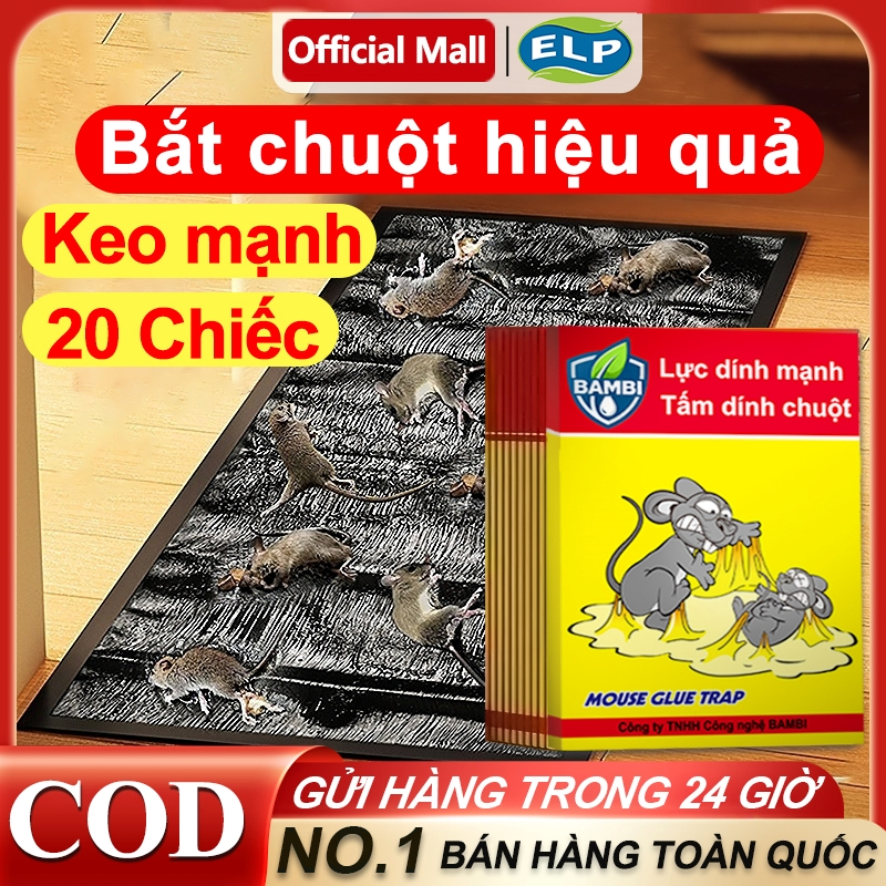 20 MIẾNG Keo Dính Chuột Siêu Dính Bãy Chuột Cống To Lớn - Tấm Keo Bẫy Chuột Bắt Chuột Diệt VIỆT NAM 