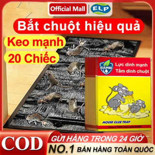  20 MIẾNG Keo Dính Chuột Siêu Dính Bãy Chuột Cống To Lớn - Tấm Keo Bẫy Chuột Bắt Chuột Diệt VIỆT NAM - Keo Dán Chuột 