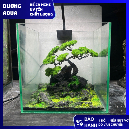 Bể Cá Mini Cubic 20 Kèm Layout Tiểu Cảnh
