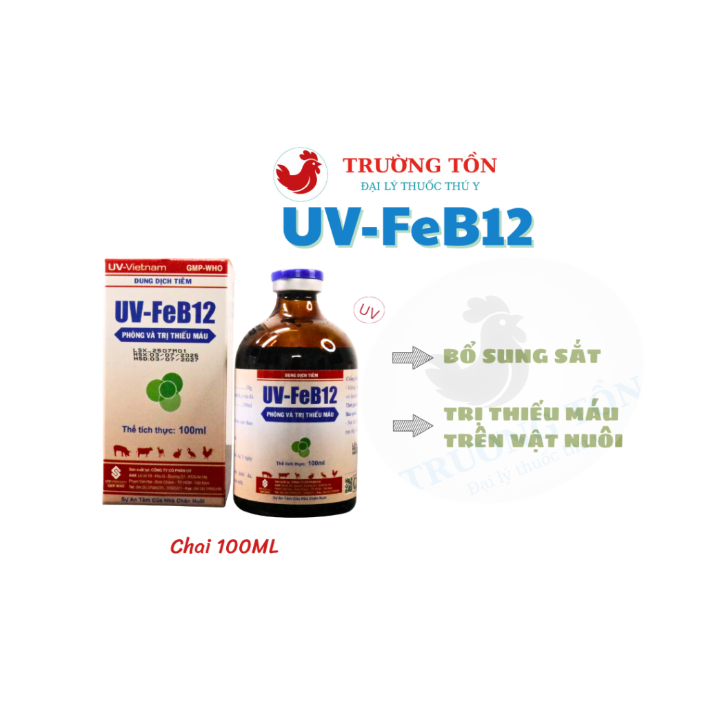 UV FeB12 phòng và chữa chứng thiếu máu trên heo con