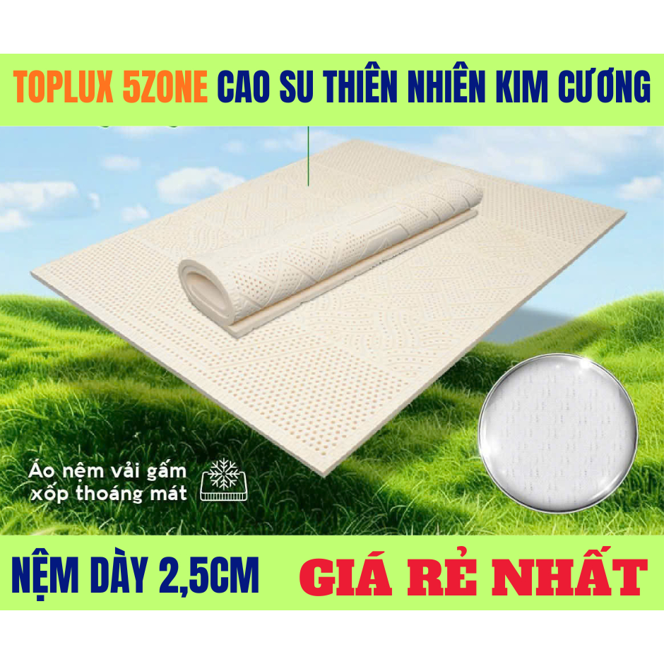 Toplux cao su thiên nhiên kim cương 5zone [ 2,5cm ]