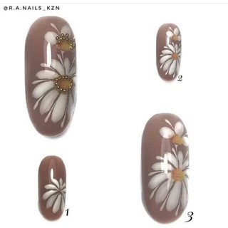 Cọ Vẽ Hoa Cúc Đẹp Nhất 🌻🌼🌼🌼🌻