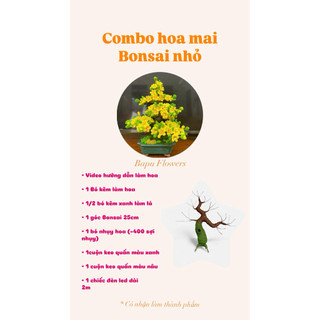 Combo nguyên liệu làm bonsai mai