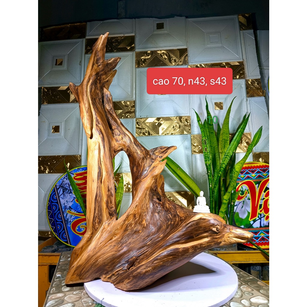 lũa gỗ thơm ngọc am đỏ hà giang