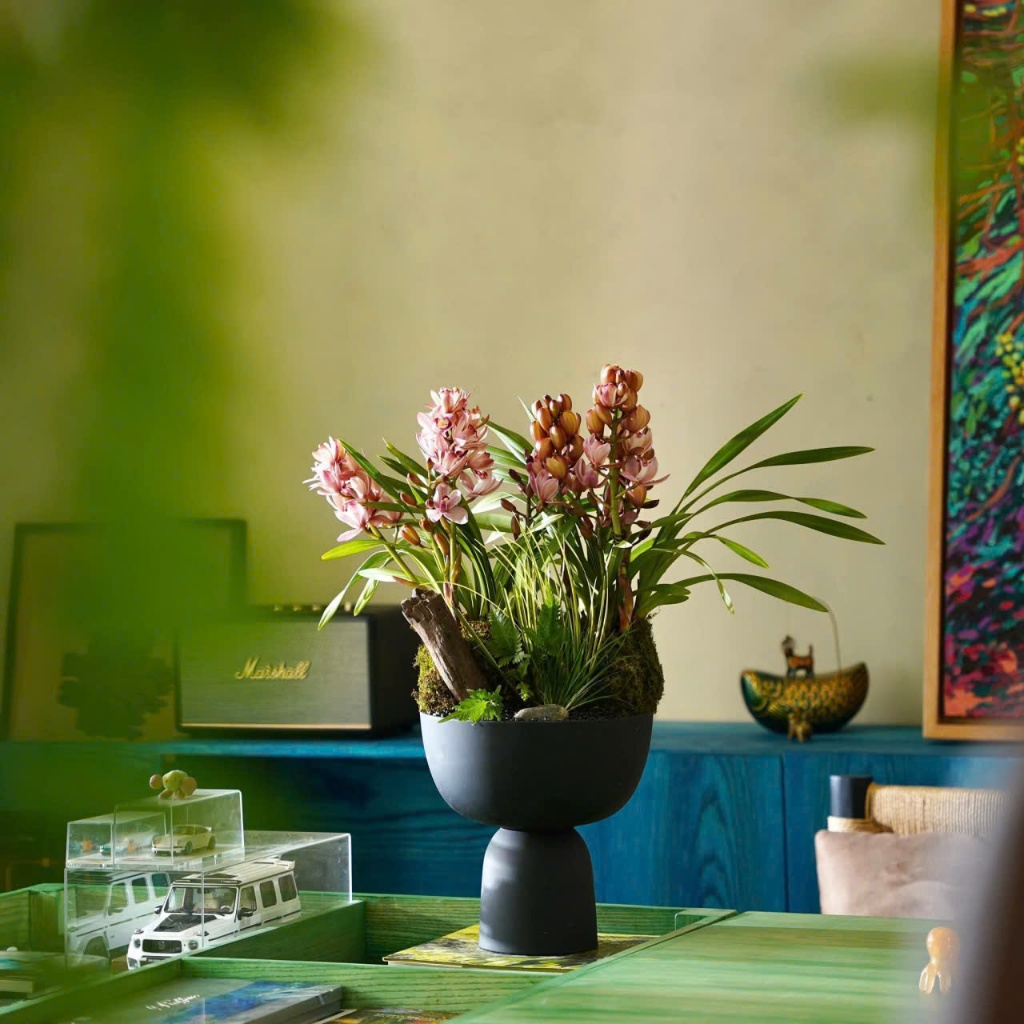 Chậu lan gốm cao cấp tinh tế sang trọng, chậu ghép lan hồ điệp trồng cây decor nhà cửa độc đáo | Liv