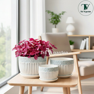  Chậu sứ trồng cây chậu sứ trồng cây tráng men Chậu sứ để bàn Chậu sứ decor- SỌC ĐEN 