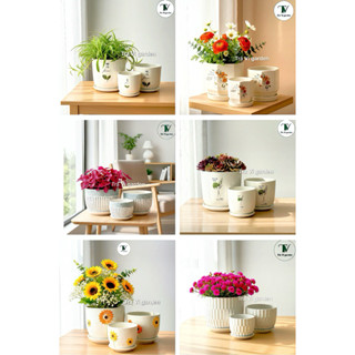  Chậu sứ trồng cây để bàn,văn phòng chậu tráng men cao cấp kèm dĩa bộ 3 chậu sứ Trung Quốc chậu trồng cây 