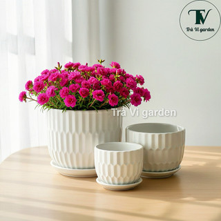  Chậu sứ tráng men trồng cây bộ 3 chậu sứ cấp cấp trong nhà ngoài trời để bàn phong thuỷ 