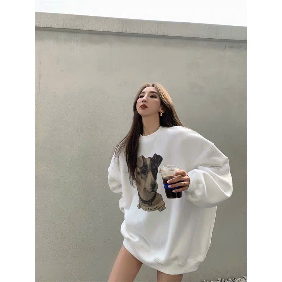 Áo sweater Trắng BOXY form rộng nam nữ in Sweater Boxy Chó Terrier