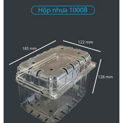 Hộp Jadebox P1000B / P500B khối lượng 1kg/0,5kg đựng trái cây