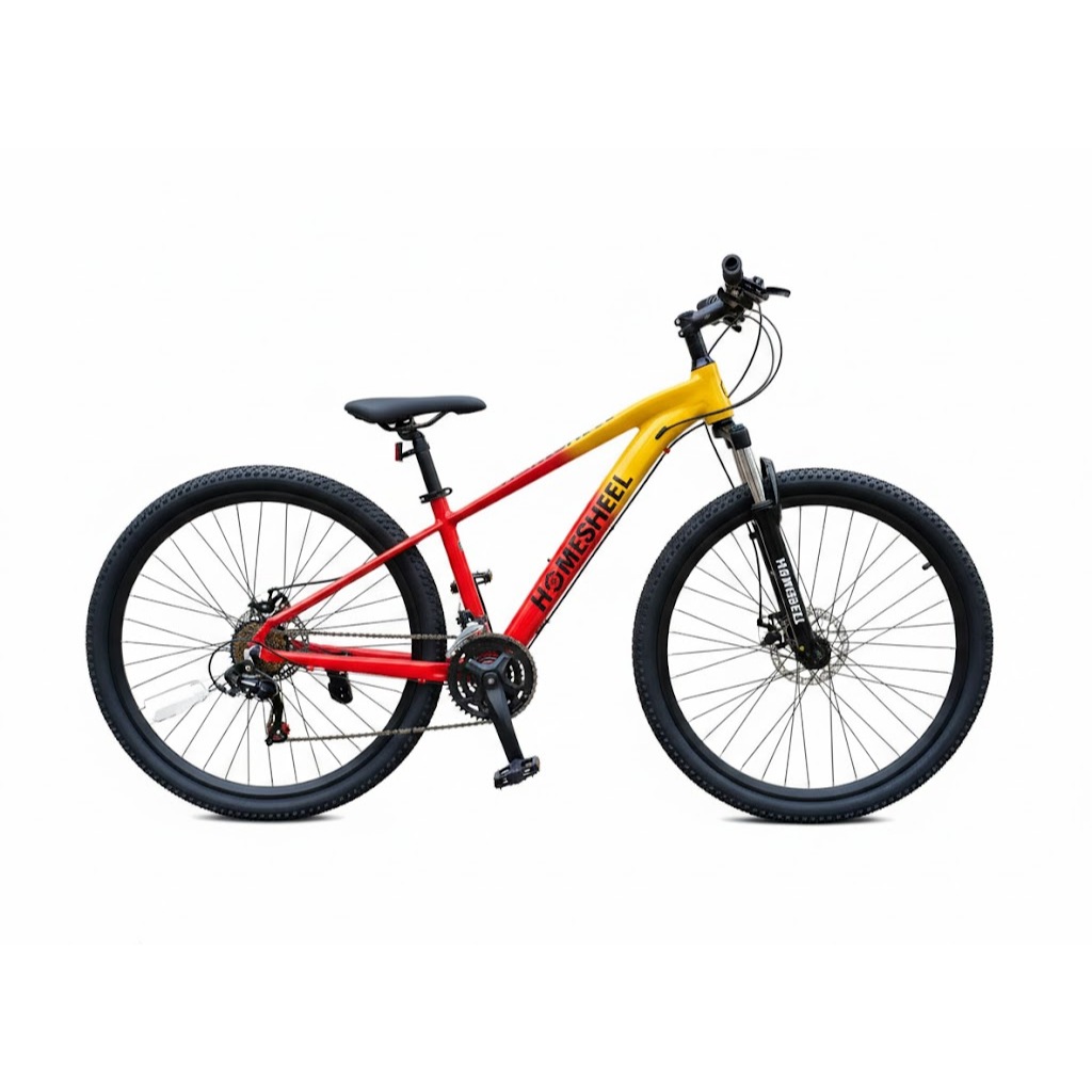 Xe đạp thể thao 29inch Homesheel B1