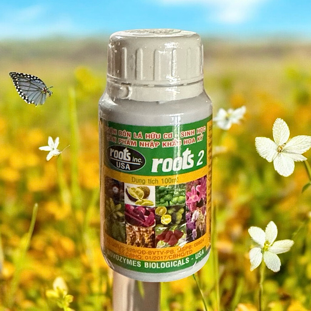 ROOTS 2 chai 100ML