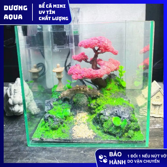 Bể Cá Mini Cubic 20 Kèm Layout Tiểu Cảnh Thả Bể Cá (Cam Kết Đẹp Như Hình)