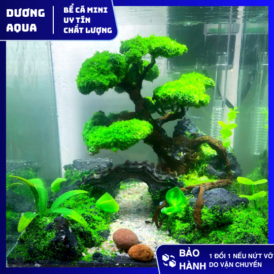 Bể Cá Mini Cubic 20 Kèm Layout Nhân Tạo