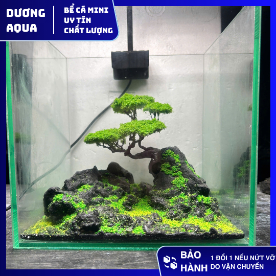 Bể Cá Mini Cubic 20 Kèm Layout Tiểu Cảnh
