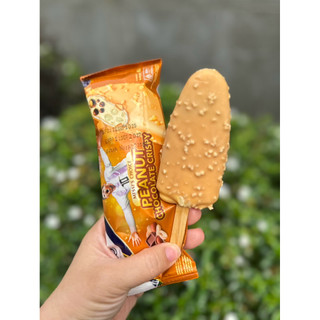 Kem Aice Đậu Phộng Socola Giòn (hoả tốc hcm)
