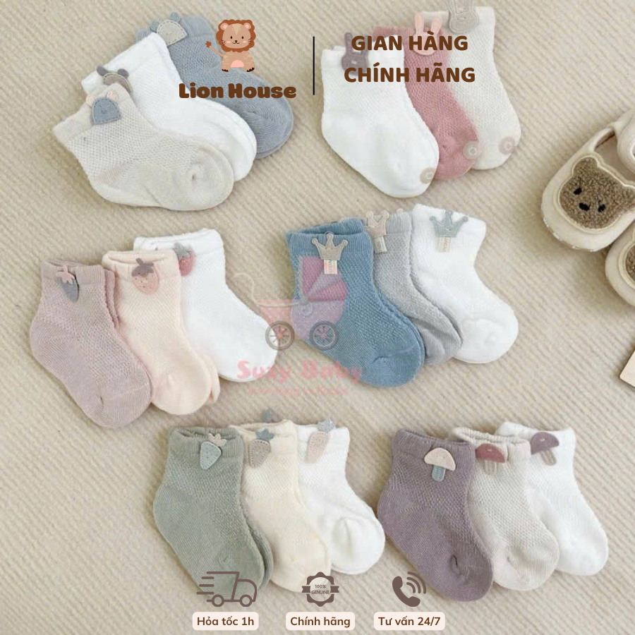 set 3 đôi tất lưới hàn quốc siêu xinh