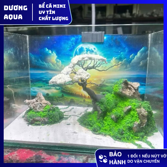 Bể Cá Mini Kèm Layout Tiểu Cảnh Siêu Đẹp Kích Thước D30xR20xC20