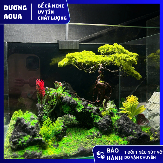 Bể Cá Mini Kích Thước 30x20x20 Kèm Layout Tiểu Cảnh Siêu Đẹp