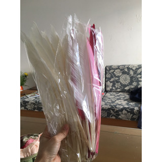 5cái lông vũ tự nhiên size lớn 26-35cm, lông vũ làm bút