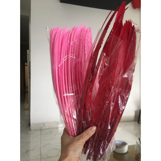 5cái lông vũ tự nhiên size lớn 26-35cm, lông vũ làm bút