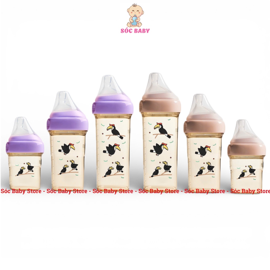 Bình sữa Hegen phiên bản họa tiết Hegen Hornbill 150ml, 240ml, 330ml - Fullbox chính hãng
