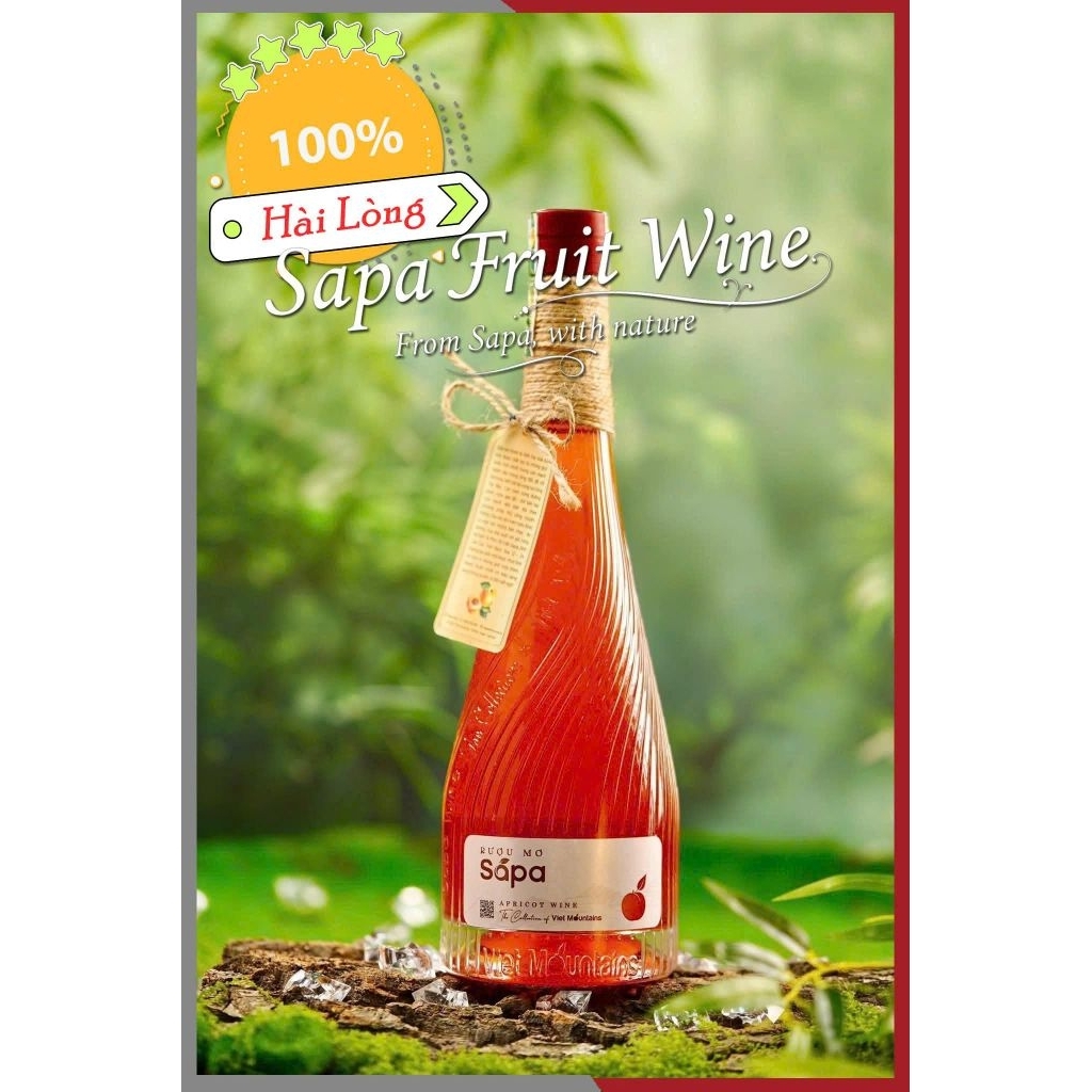 ( Tinh Túy ) Rượu Mơ VIP Sapa 500ml, 14% - hàng tuyển chọn, sang trọng, phù hợp biếu tặng