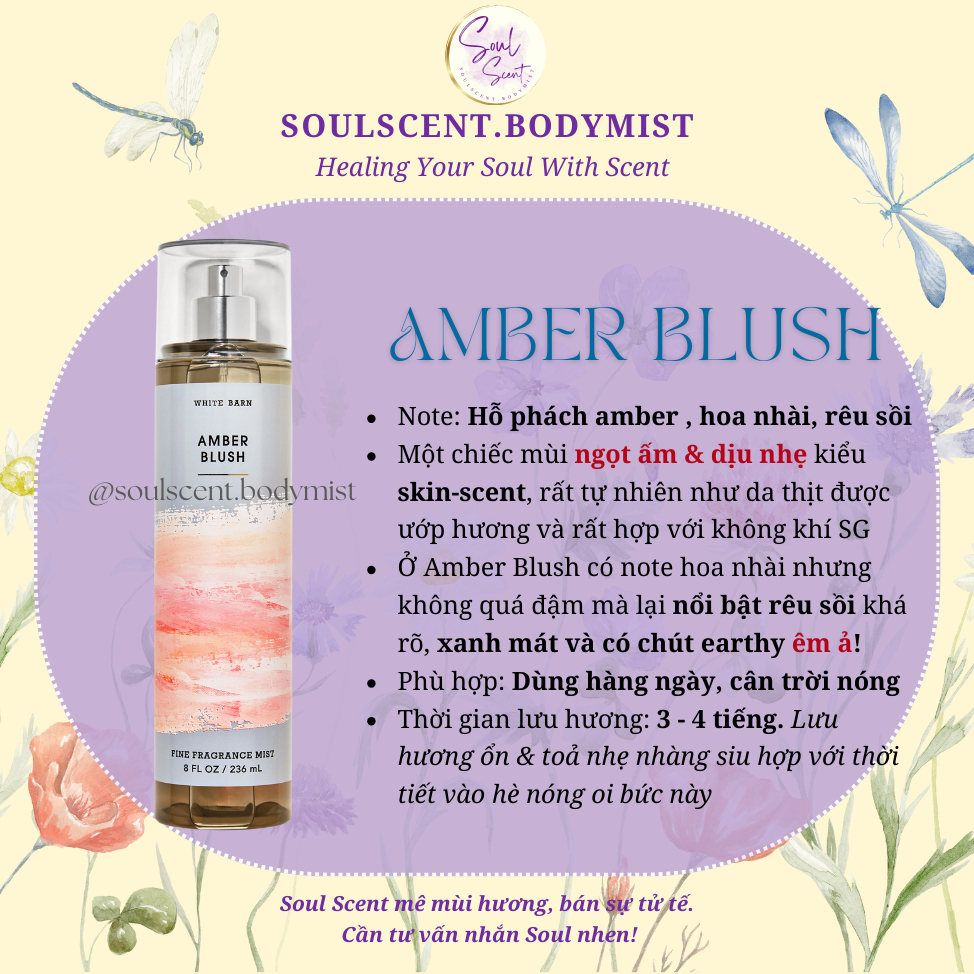 AMBER BLUSH Body mist xịt thơm nước hoa toàn thân Bath & Body Works (AUTH Mỹ) | Soul Scent (mới 2025