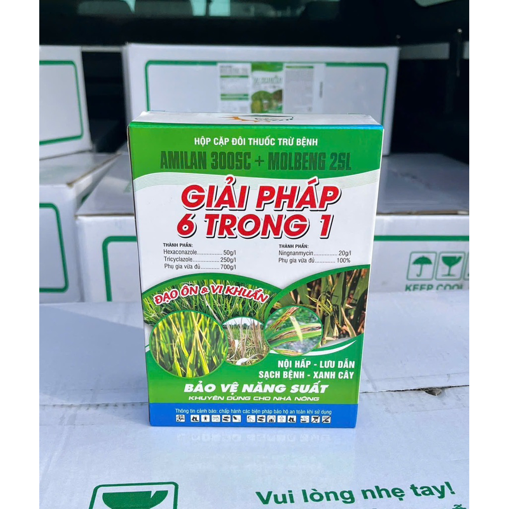 CẶP GIẢI PHÁP 6 TRONG 1 thể tích 400ml Sử dụng 1 hecta