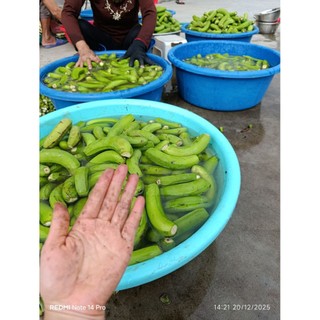 Bột chuối tiêu xanh sấy lạnh