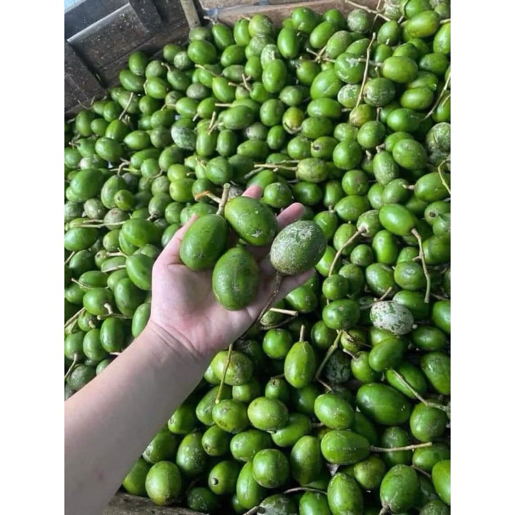 Quả cóc - Giá Tốt, Miễn Phí Vận Chuyển, Đủ Loại | Shopee Việt Nam