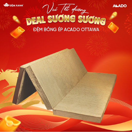 Đệm bông ép Canada Acado Ottawa gập 3 - SP mới tháng 7